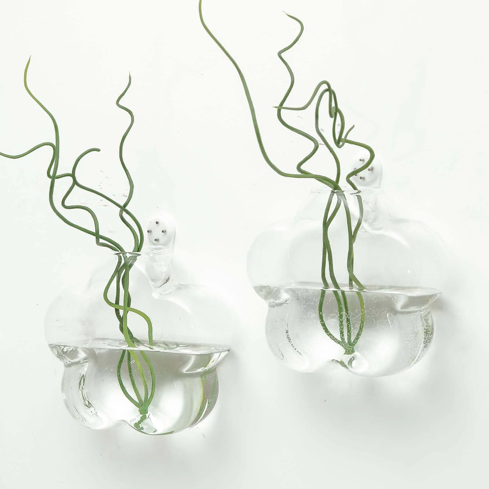 3-Pack Glass Wall Vase Flower Shaped Design Hanging Indoor Planters - Stylish Wall Mounted Terrariums for Home Decor - Image 2