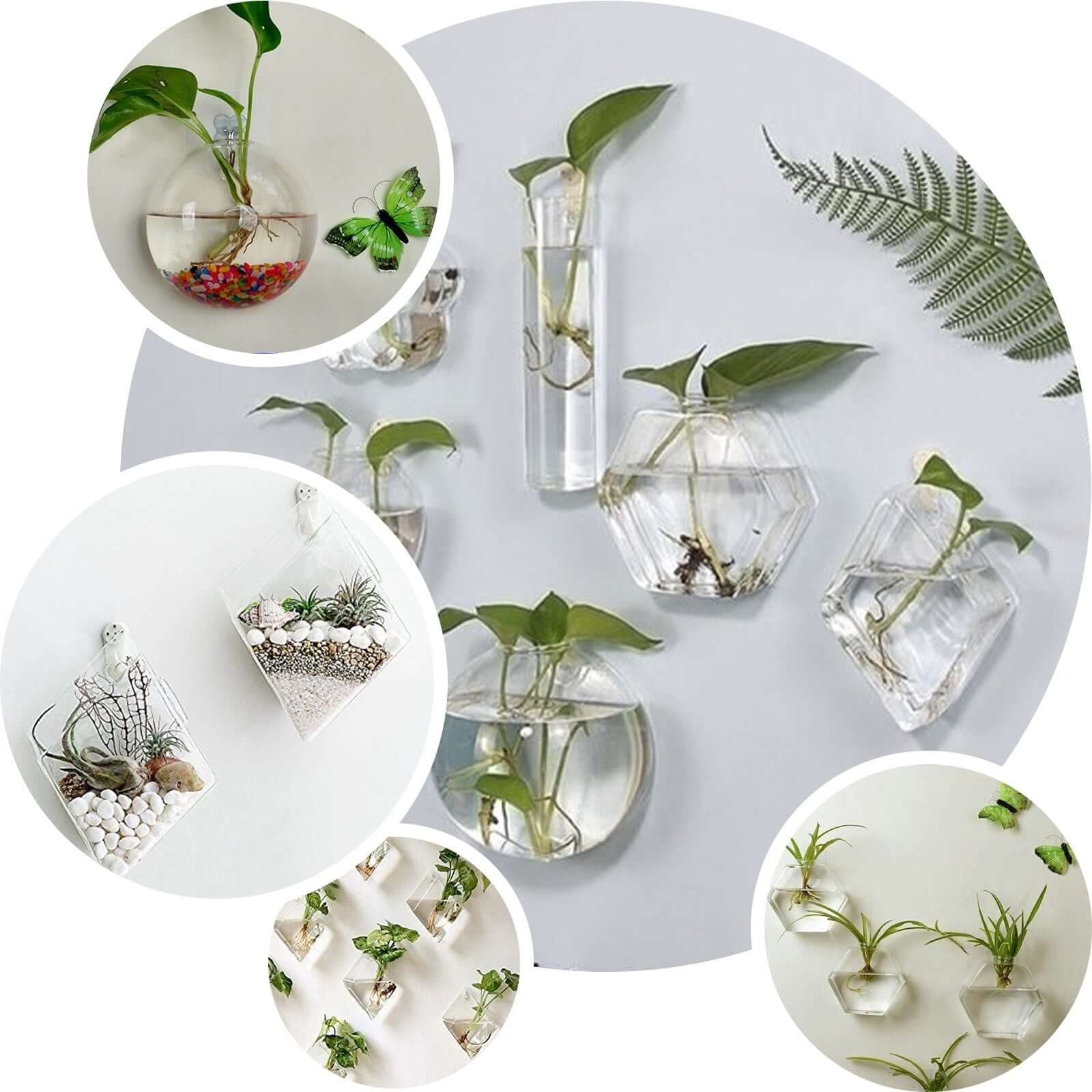3-Pack Glass Wall Vase Flower Shaped Design Hanging Indoor Planters - Stylish Wall Mounted Terrariums for Home Decor - Image 5
