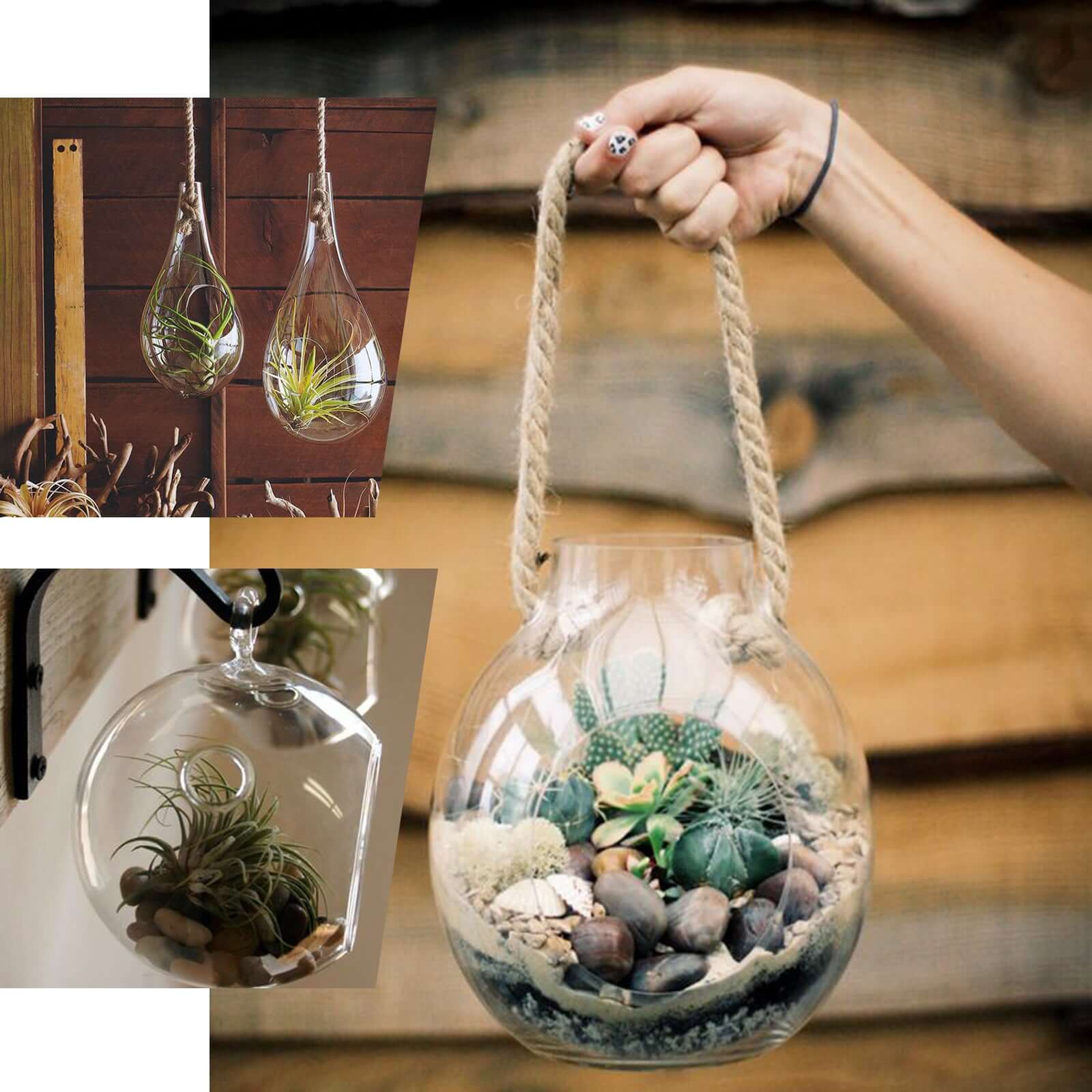 3-Pack Glass Wall Vase Flower Shaped Design Hanging Indoor Planters - Stylish Wall Mounted Terrariums for Home Decor - Image 6