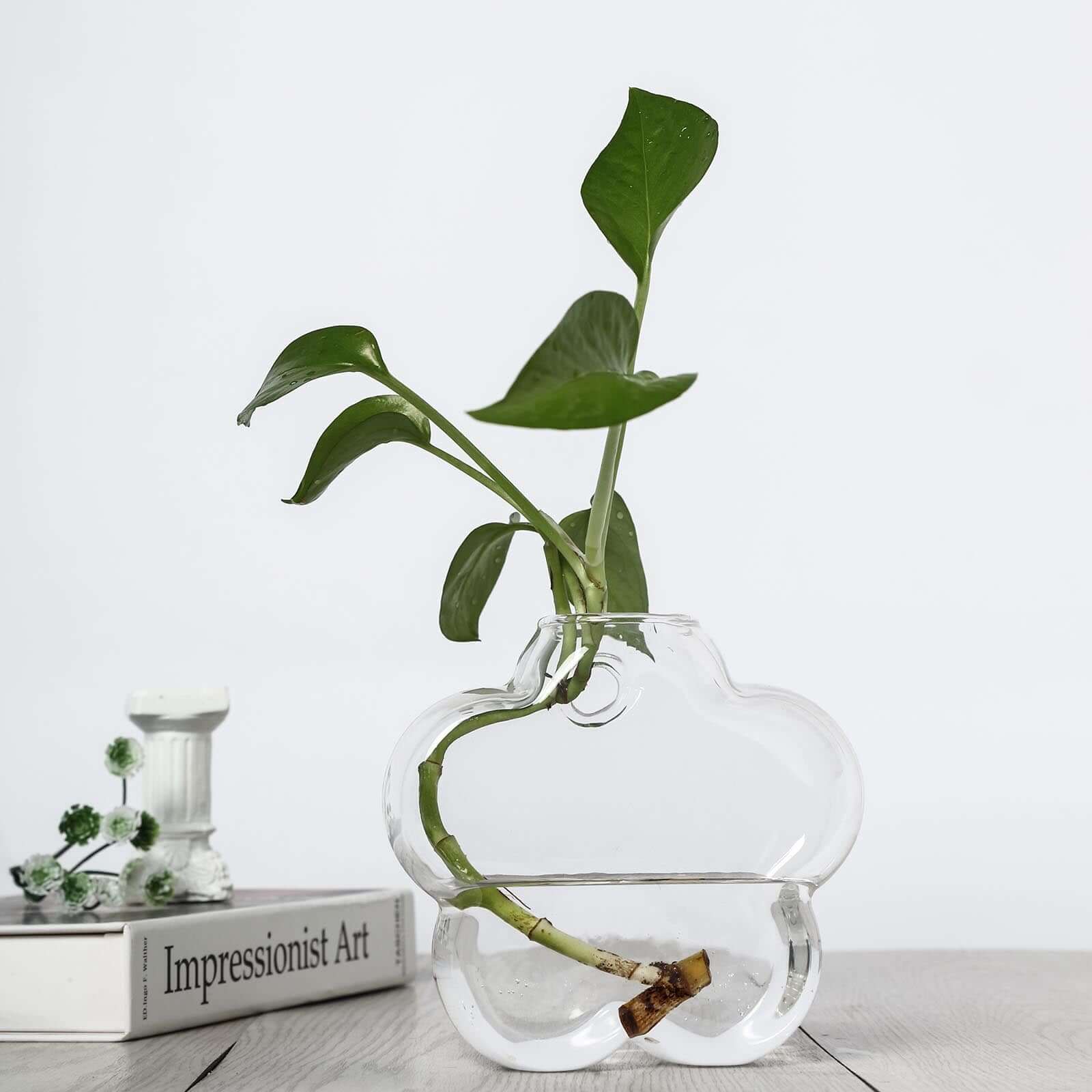 3-Pack Glass Wall Vase Flower Shaped Design Hanging Indoor Planters - Stylish Wall Mounted Terrariums for Home Decor - Image 8