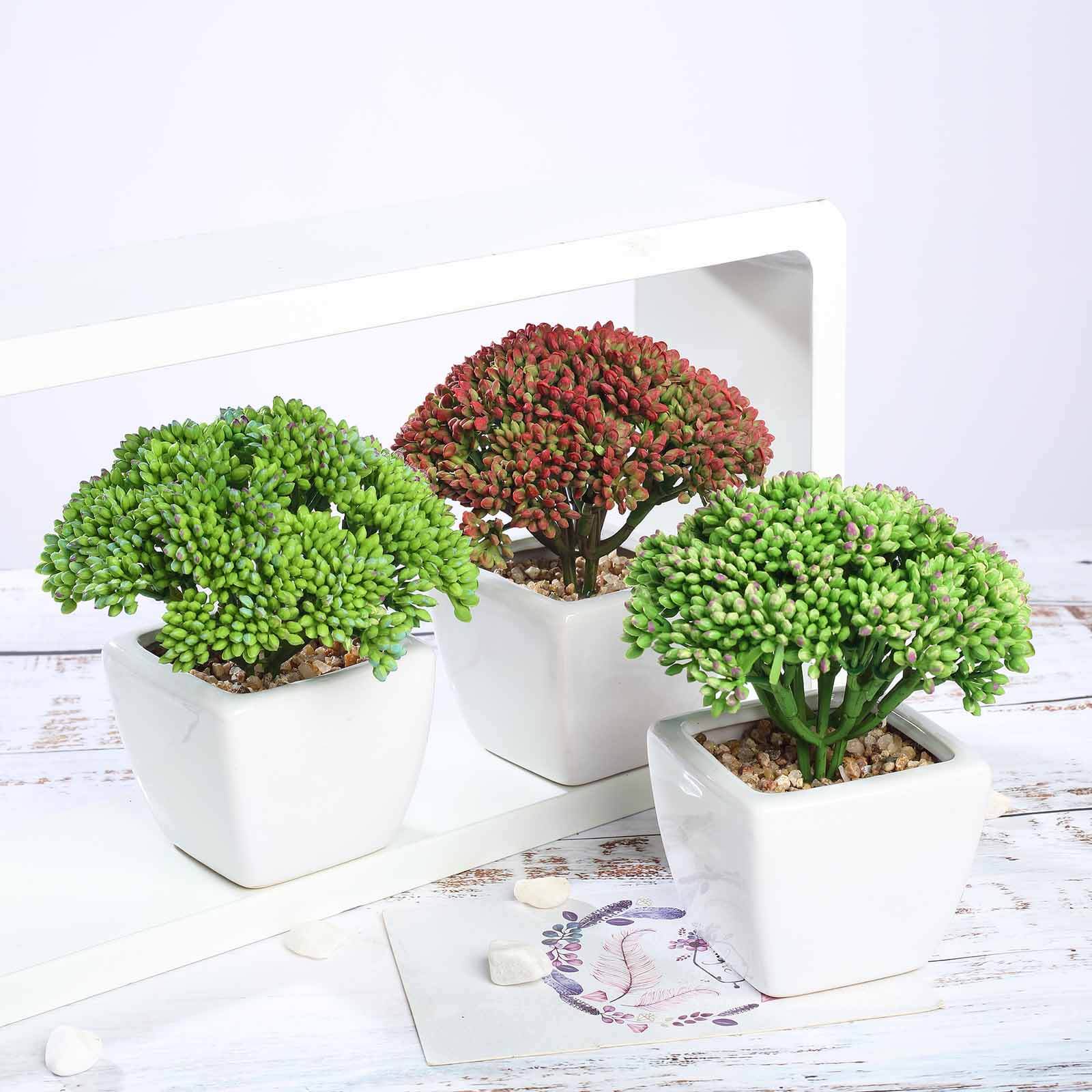 3-Pack Joy Sedum Artificial Succulents in Ceramic Pots 6" - Realistic Maintenance-Free Faux Plants for Bathroom Coffee Table Shelves & Desk - Image 6