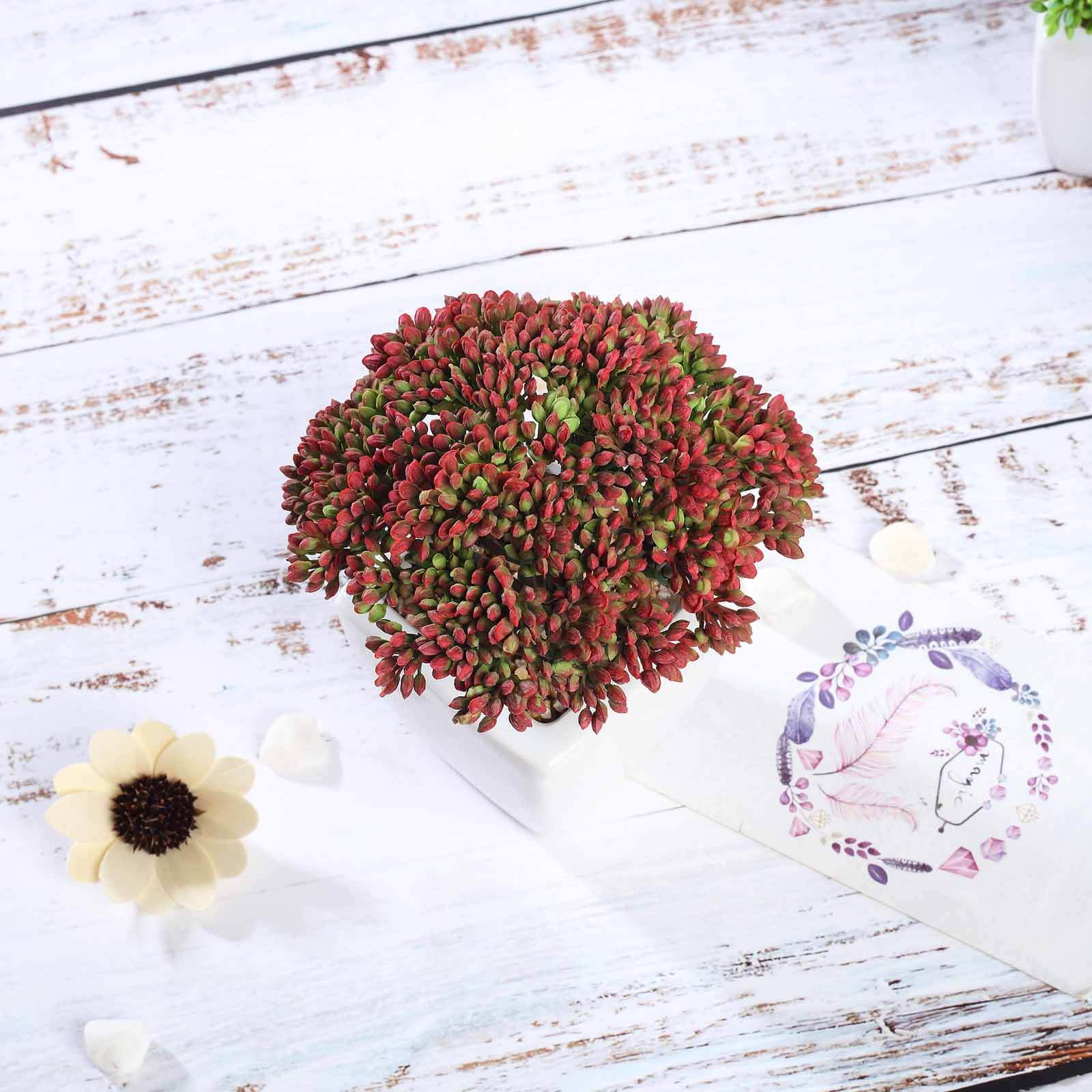 3-Pack Joy Sedum Artificial Succulents in Ceramic Pots 6" - Realistic Maintenance-Free Faux Plants for Bathroom Coffee Table Shelves & Desk - Image 8