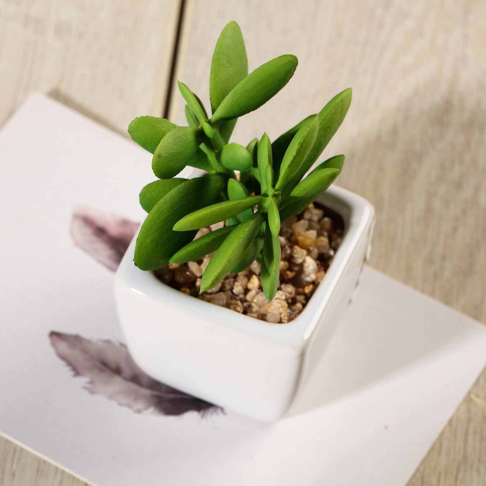 3-Pack Mini Jade Artificial Succulents in Ceramic Pots 3" - Realistic Maintenance-Free Faux Plants for Bathroom Coffee Table Shelves & Desk - Image 12