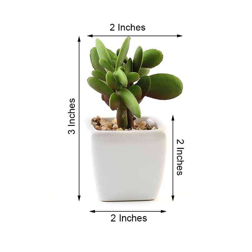 3-Pack Mini Jade Artificial Succulents in Ceramic Pots 3" - Realistic Maintenance-Free Faux Plants for Bathroom Coffee Table Shelves & Desk - Image 3