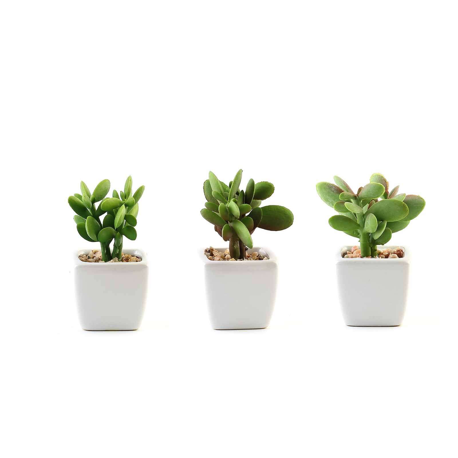 3-Pack Mini Jade Artificial Succulents in Ceramic Pots 3" - Realistic Maintenance-Free Faux Plants for Bathroom Coffee Table Shelves & Desk - Image 7