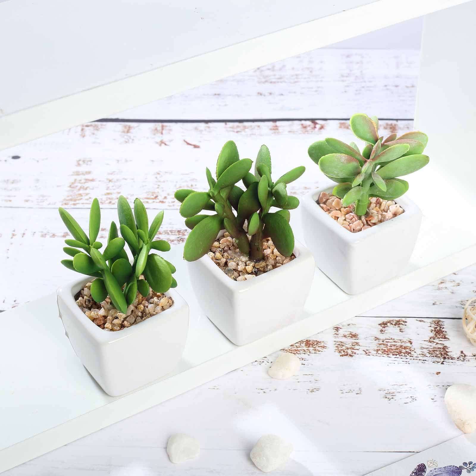 3-Pack Mini Jade Artificial Succulents in Ceramic Pots 3" - Realistic Maintenance-Free Faux Plants for Bathroom Coffee Table Shelves & Desk - Image 8