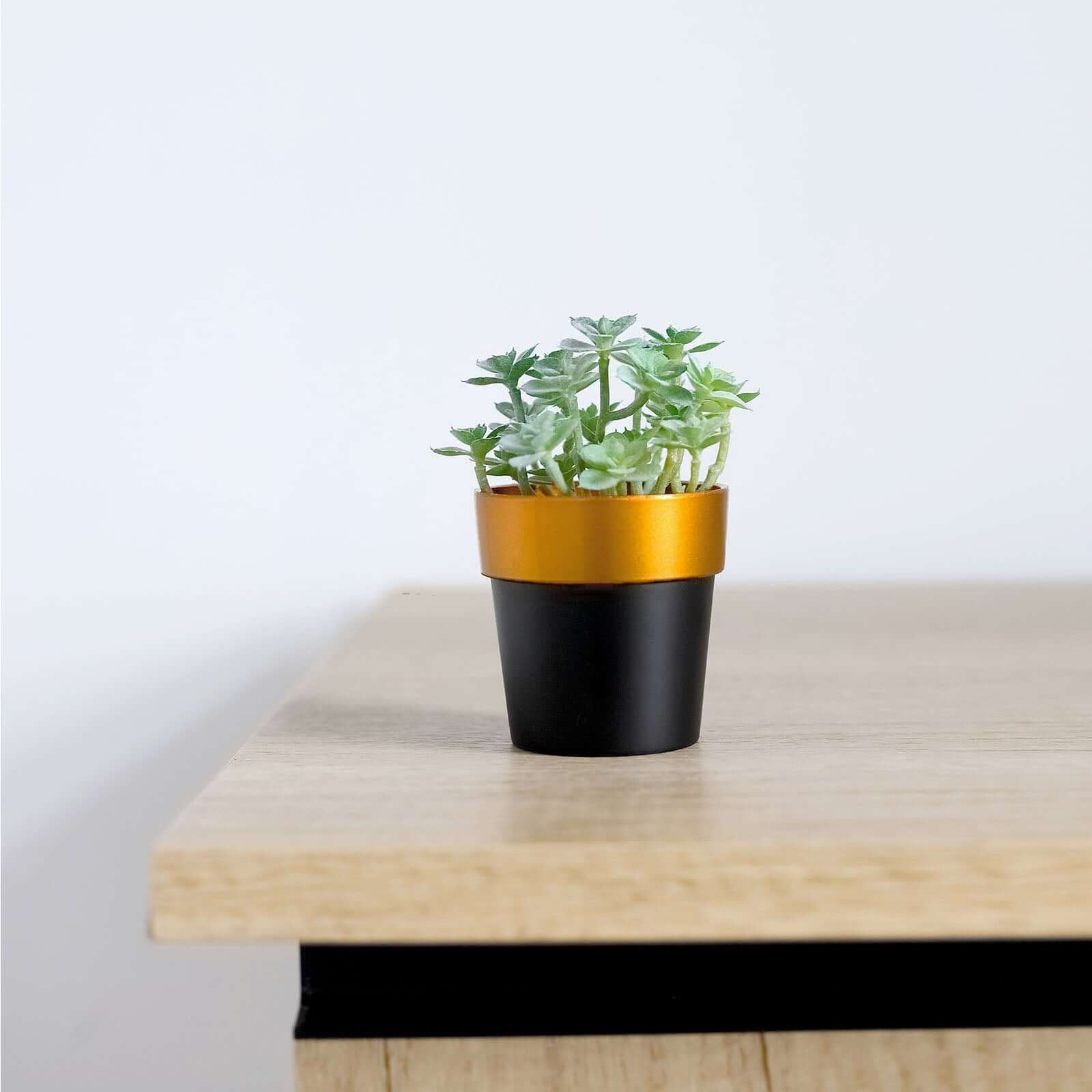 3-Pack Plastic Flower Plant Pots 3" Small Black with Gold Rim - Indoor Decorative Planters - Image 10