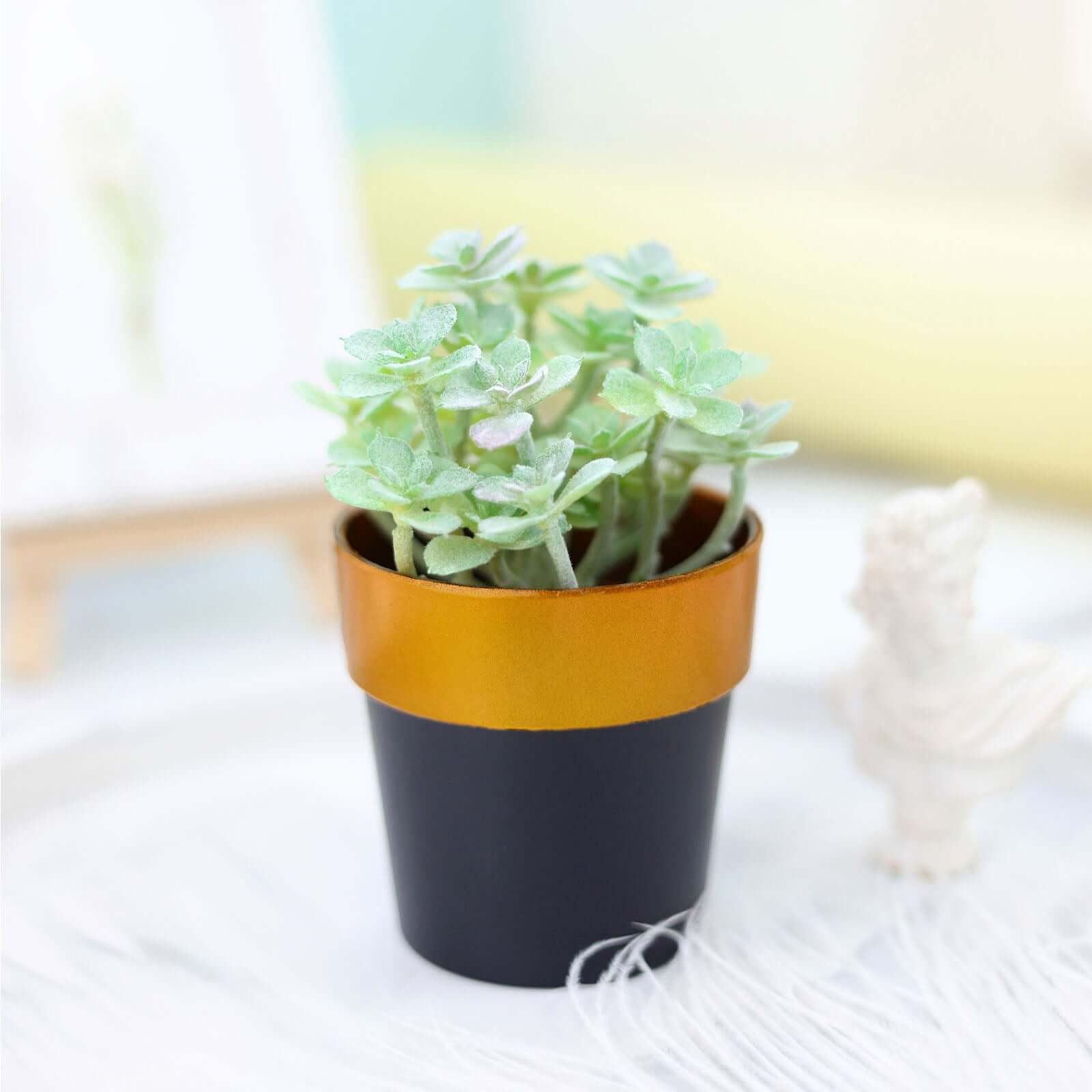 3-Pack Plastic Flower Plant Pots 3" Small Black with Gold Rim - Indoor Decorative Planters - Image 9