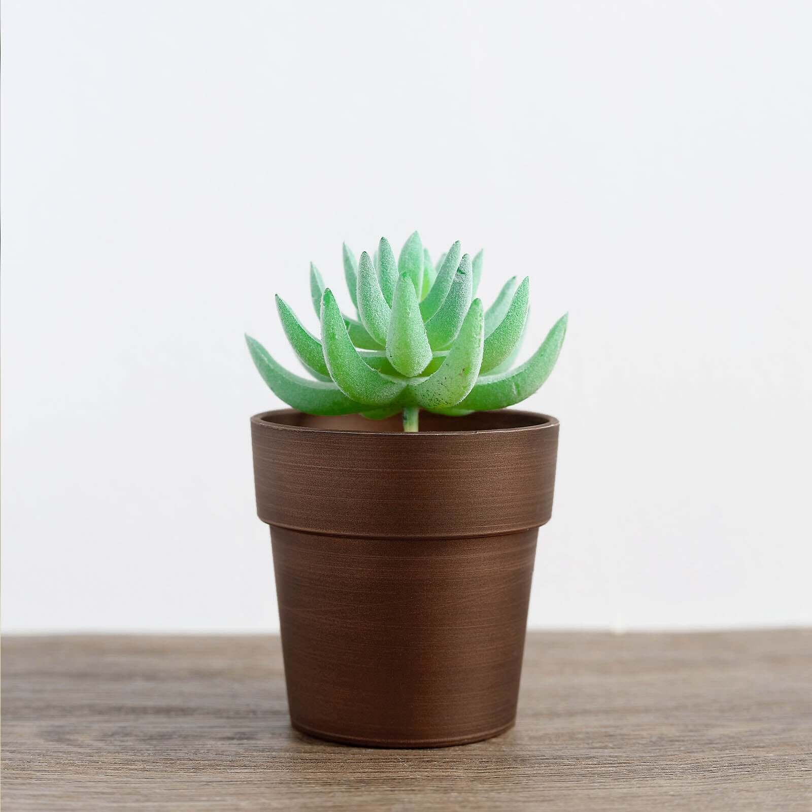 3-Pack Plastic Flower Plant Pots 3" Small Rustic Brown - Indoor Decorative Planters - Image 12