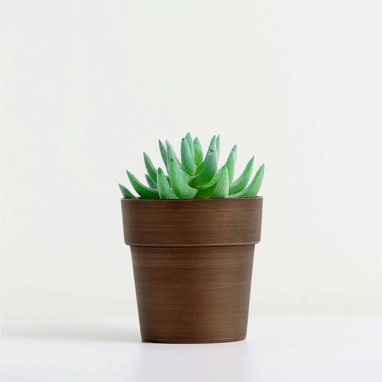3-Pack Plastic Flower Plant Pots 3" Small Rustic Brown - Indoor Decorative Planters - Image 13