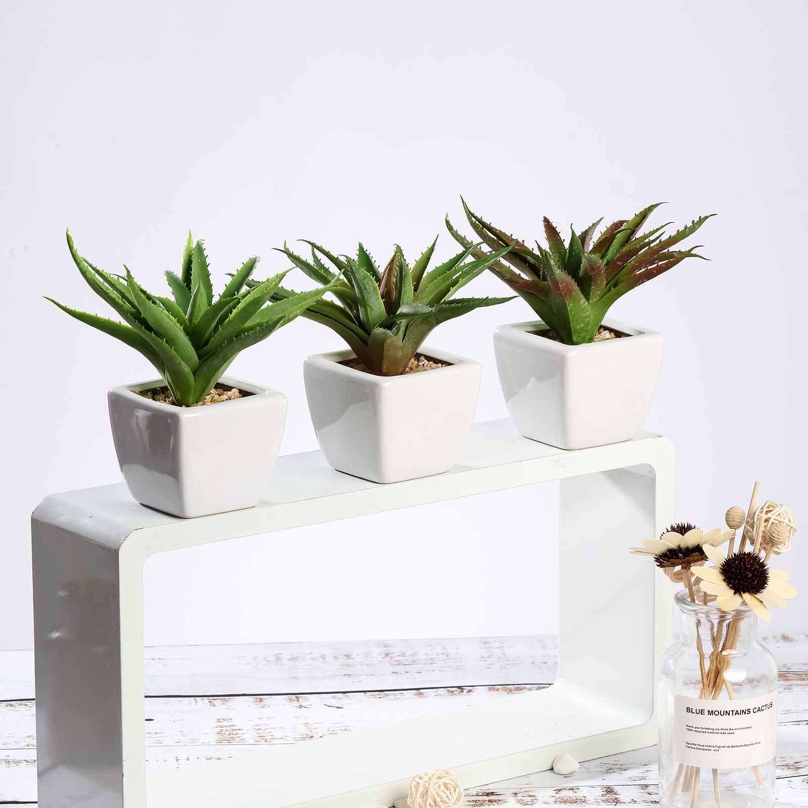3-Pack Spotted Aloe Vera Artificial Succulents in Ceramic Pot 5" - Realistic Maintenance-Free Faux Plants for Bathroom Coffee Table Shelves & Desk - Image 2