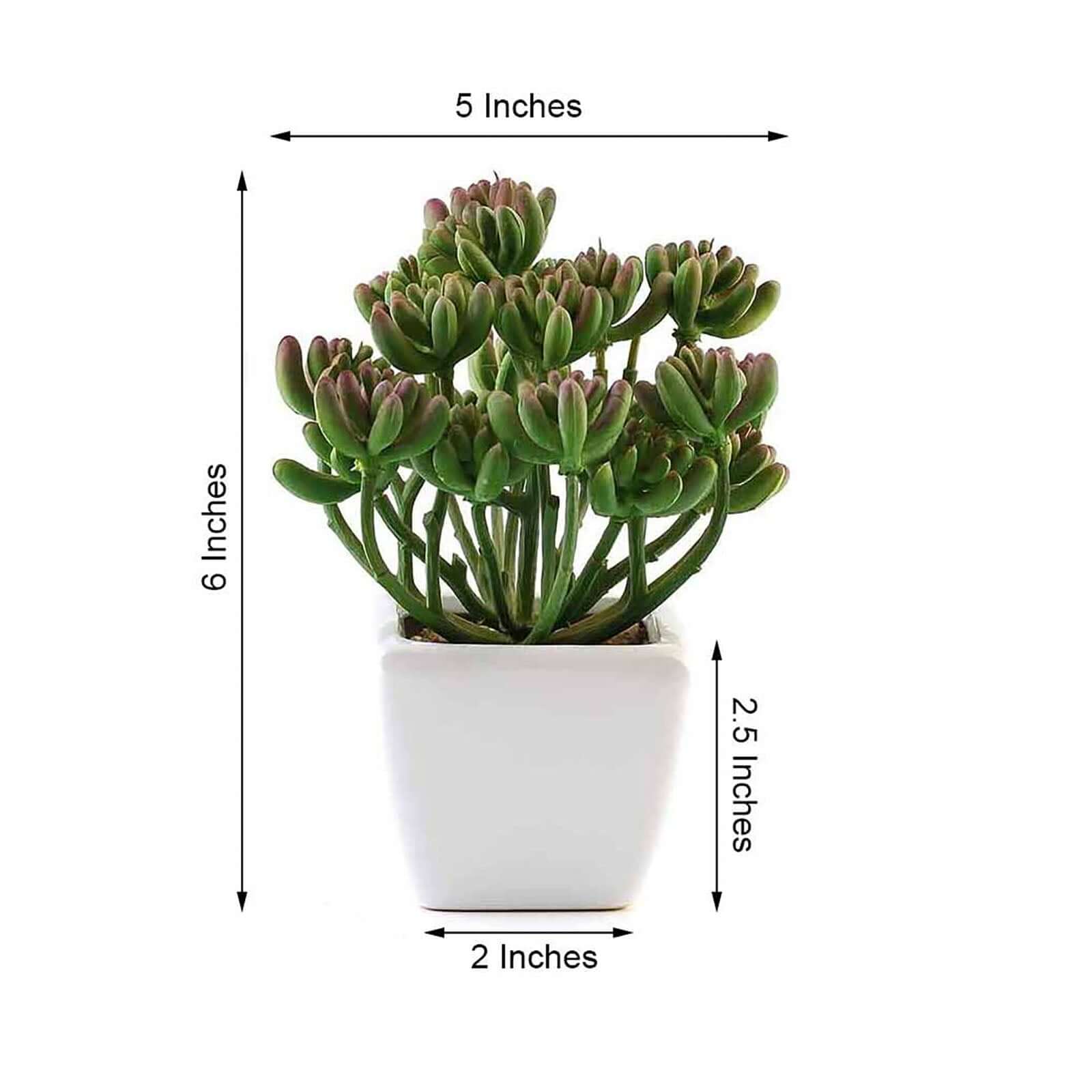 3-Pack Stonecrop Artificial Succulents in Ceramic Pots 7" - Realistic Maintenance-Free Faux Plants for Bathroom Coffee Table Shelves & Desk - Image 3