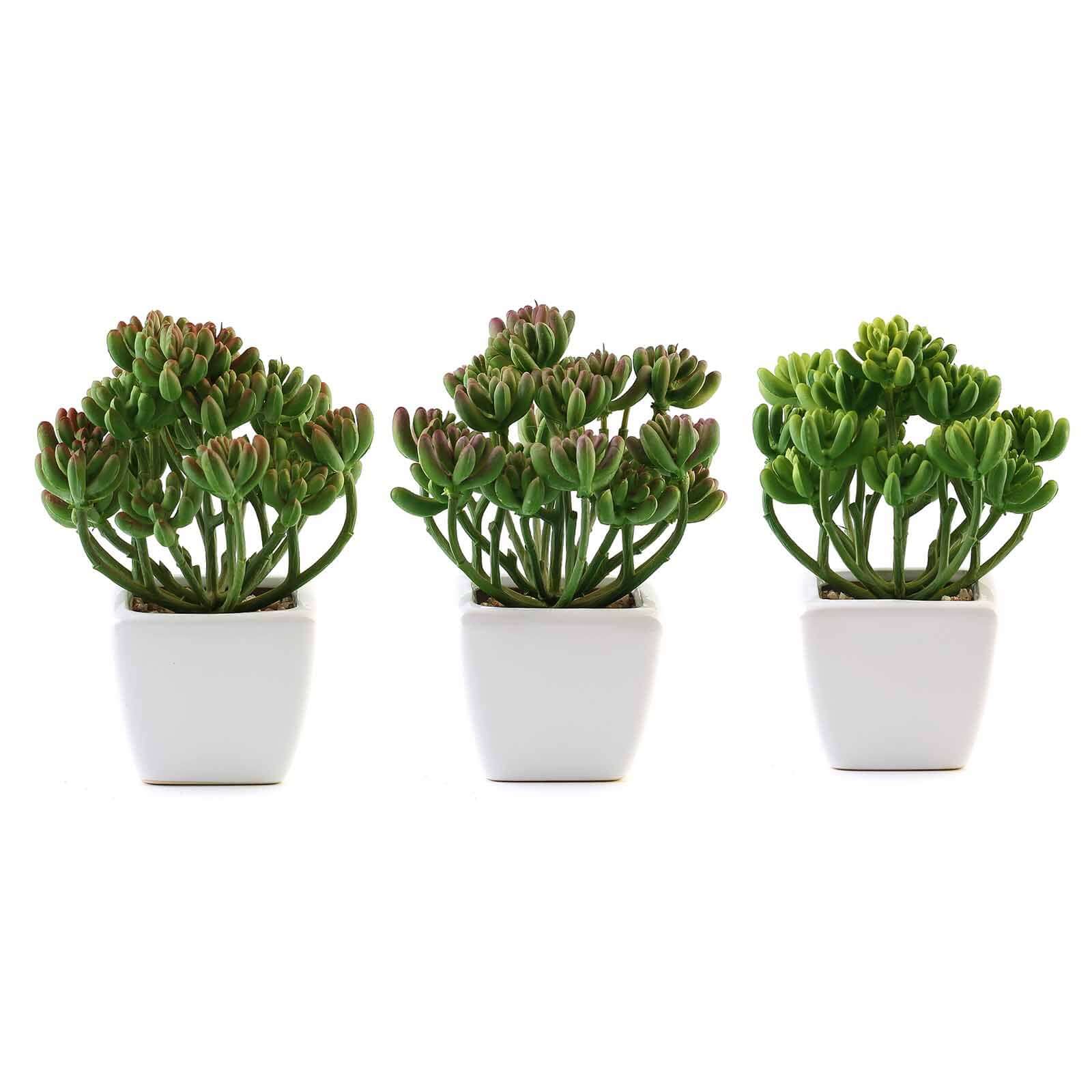 3-Pack Stonecrop Artificial Succulents in Ceramic Pots 7" - Realistic Maintenance-Free Faux Plants for Bathroom Coffee Table Shelves & Desk - Image 7