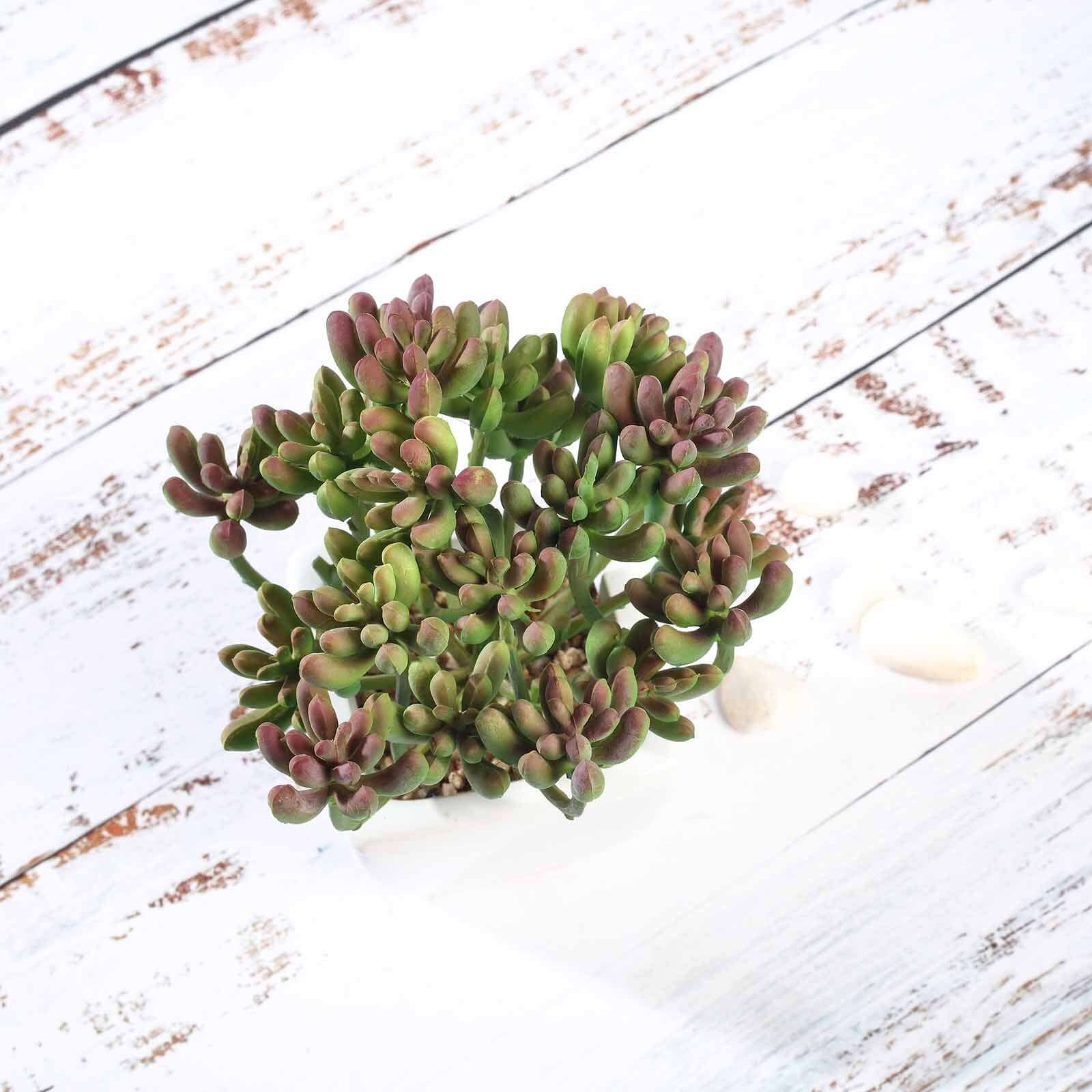 3-Pack Stonecrop Artificial Succulents in Ceramic Pots 7" - Realistic Maintenance-Free Faux Plants for Bathroom Coffee Table Shelves & Desk - Image 9