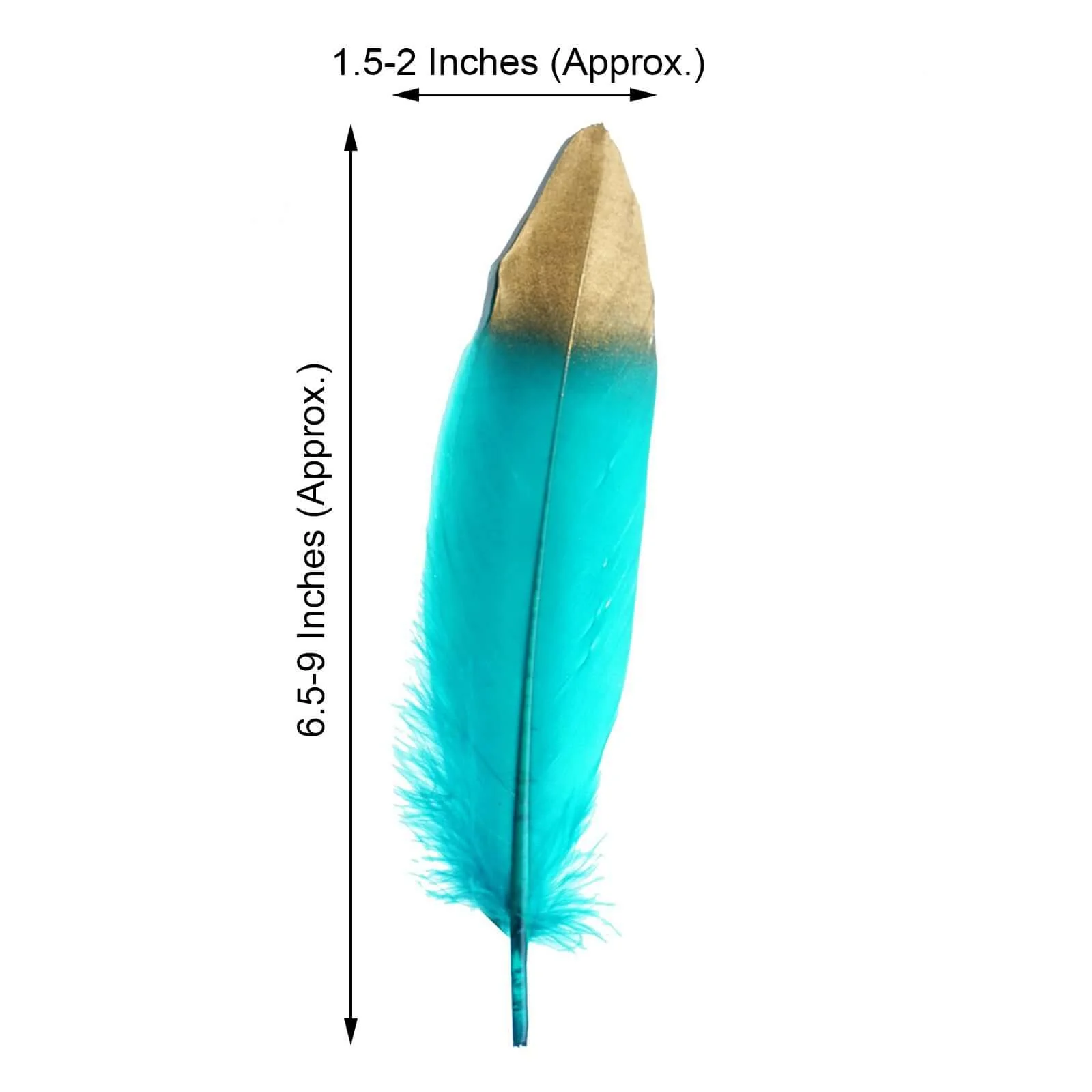 30 Pack Metallic Gold Dipped Turquoise Real Goose Feathers, Craft Feathers For Party Decoration - Image 3