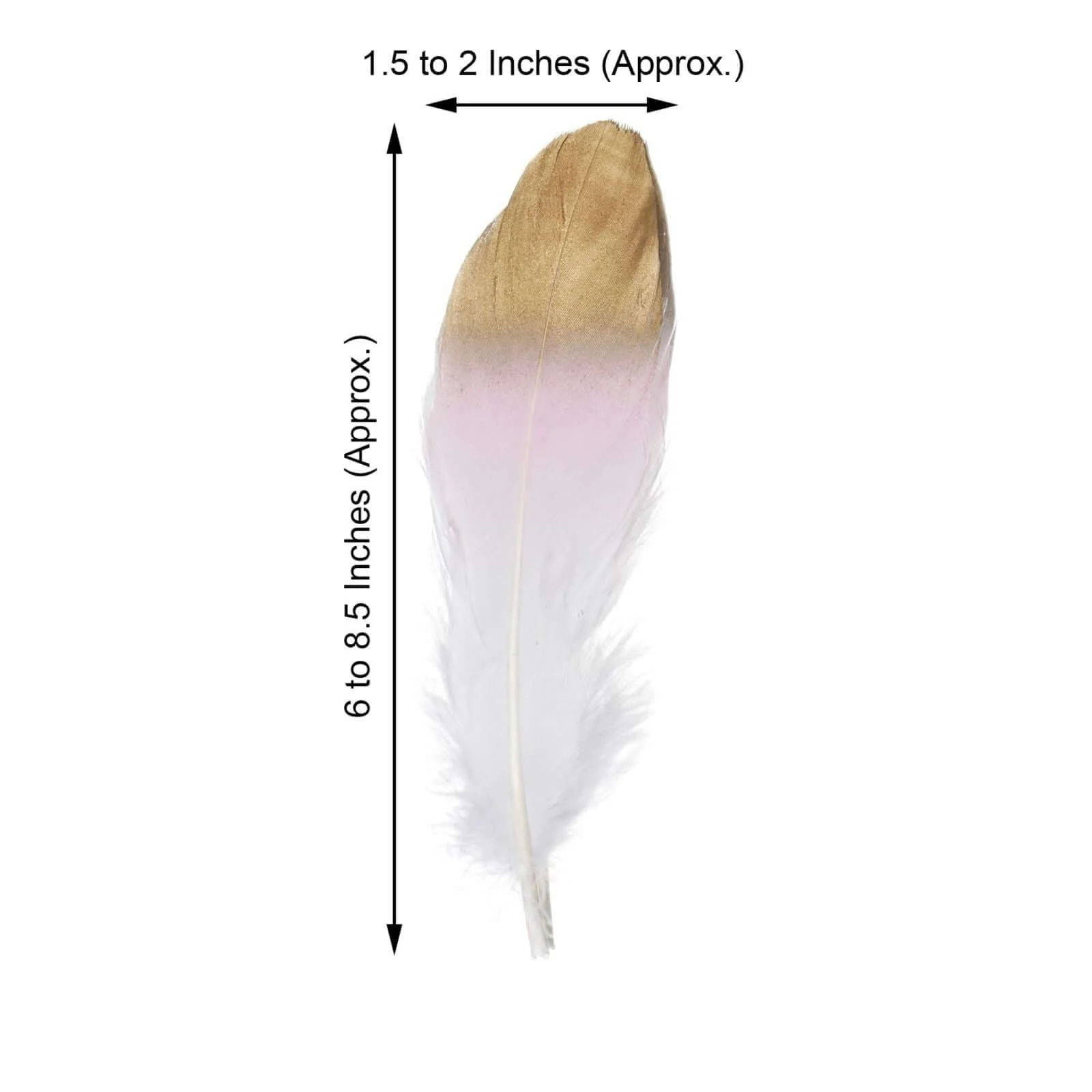 30-Pack Real Goose Feathers Dual Tone Metallic Gold Tip Design Blush White - Craft Feathers for Party Decorations - Image 3