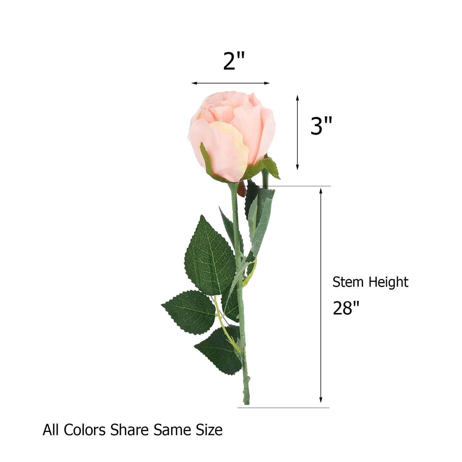 24pcs Cream Long Stem Artificial Silk Roses Flowers 31" - Image 3