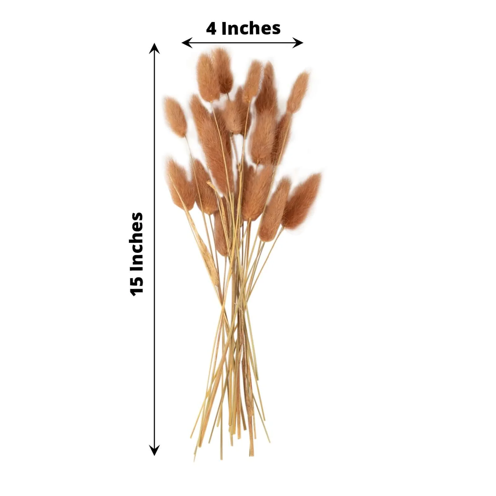 50-Pack Dried Bunny Tail Grass 15" Brown - Fluffy Lagurus Ovatus Rabbit Tail Ornamental Grass - Image 3