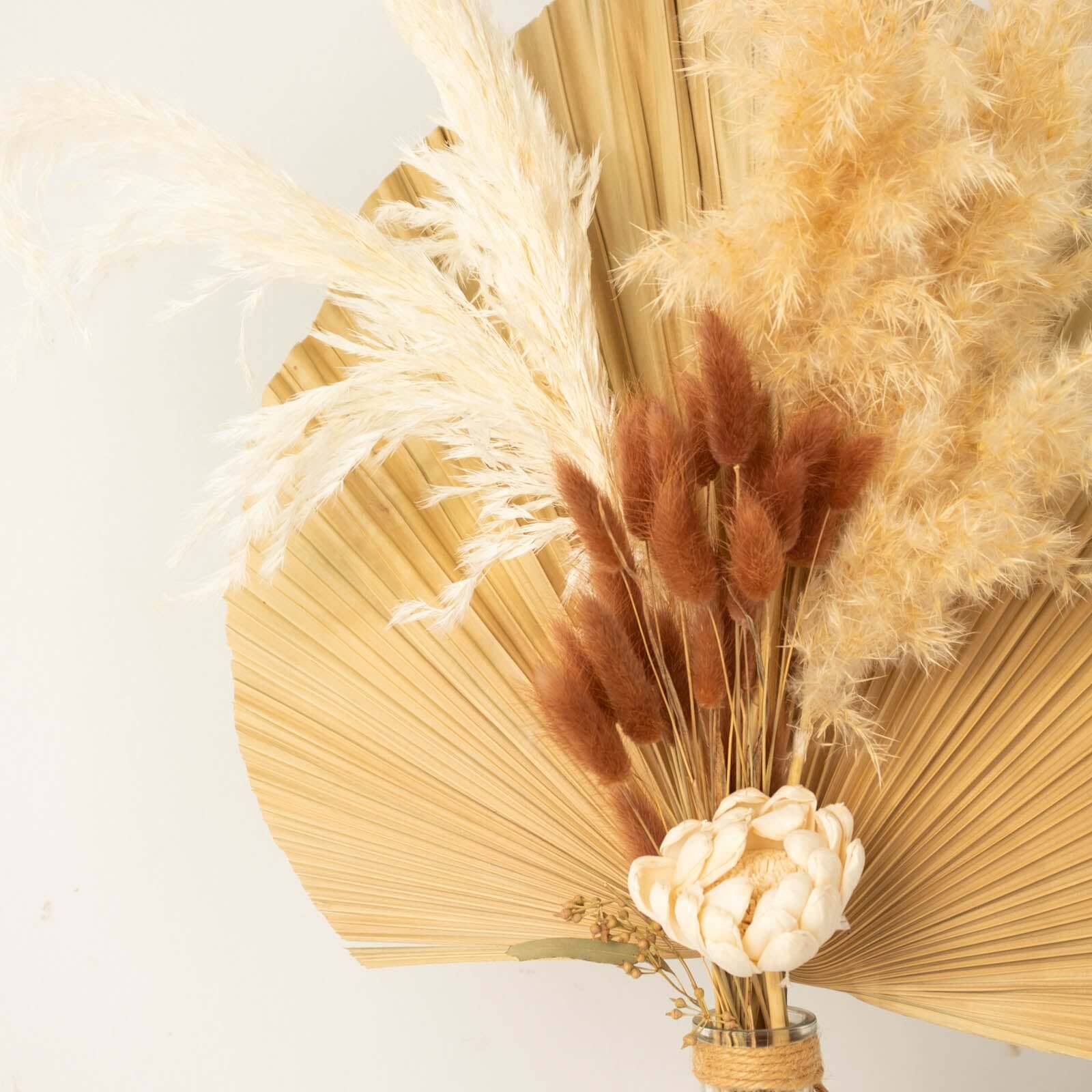 50-Pack Dried Bunny Tail Grass 15" Brown - Fluffy Lagurus Ovatus Rabbit Tail Ornamental Grass - Image 7