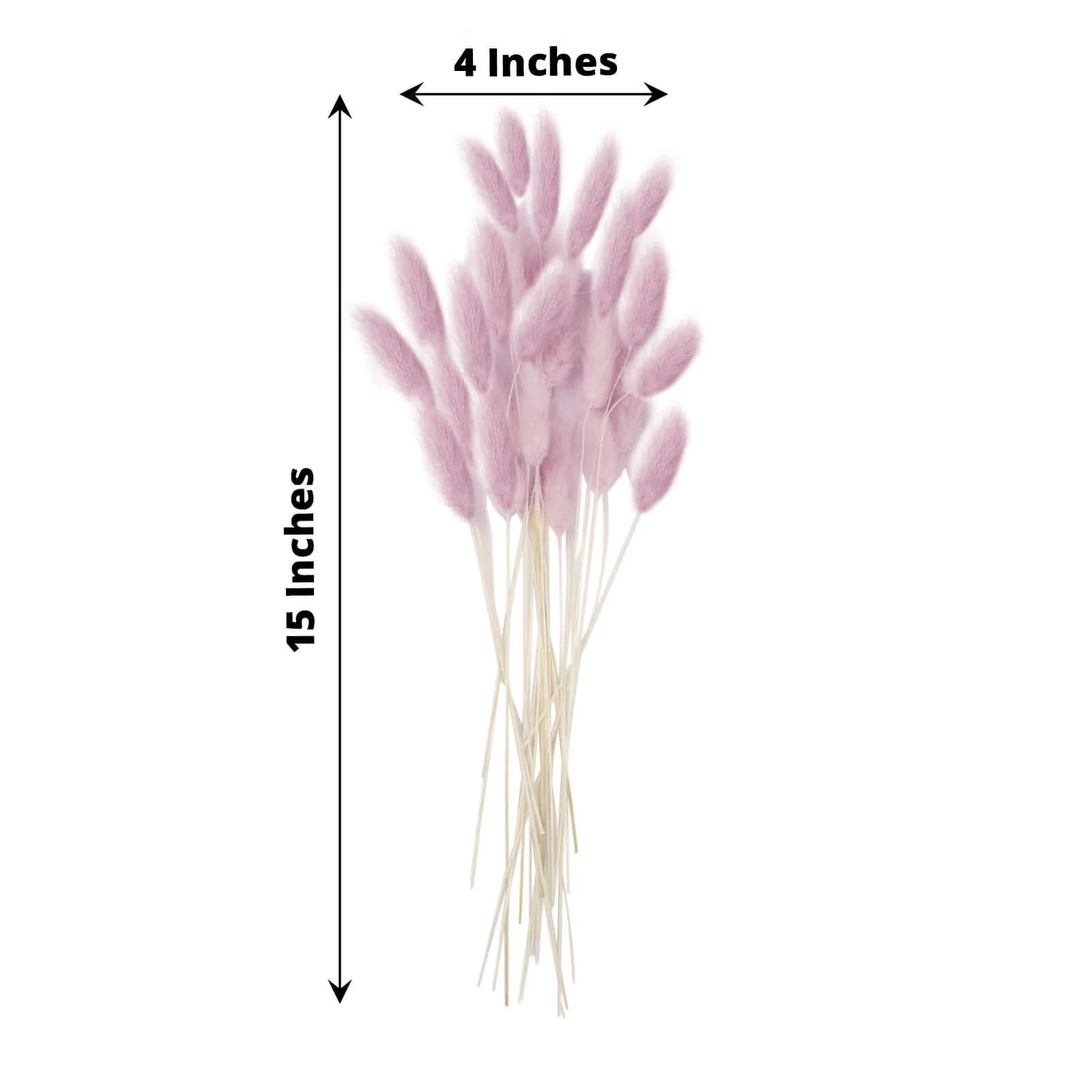 50-Pack Dried Bunny Tail Grass 15" Lavender Lilac - Fluffy Lagurus Ovatus Rabbit Tail Ornamental Grass - Image 3