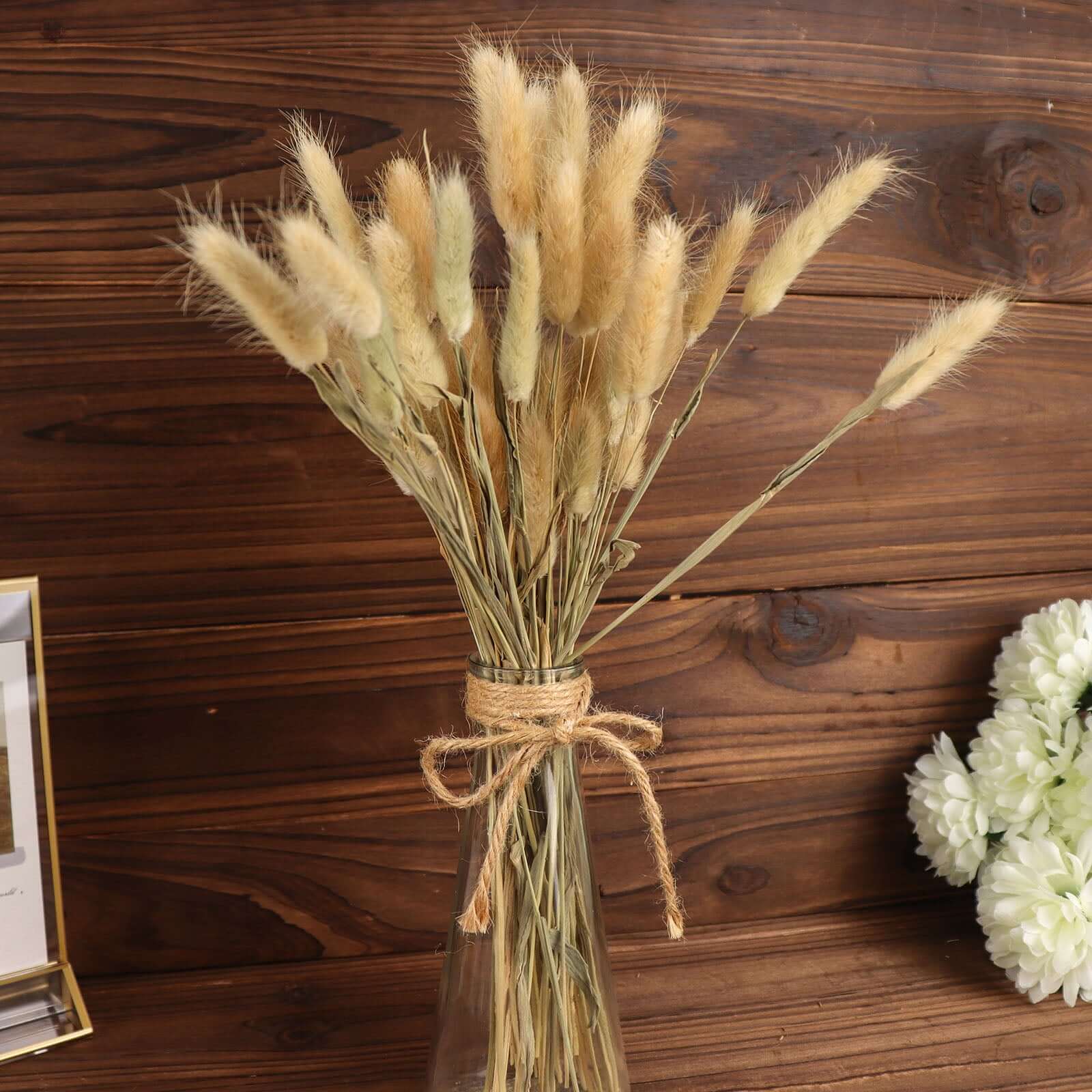 50-Pack Dried Bunny Tail Grass 15" Natural - Fluffy Lagurus Ovatus Rabbit Tail Ornamental Grass - Image 11