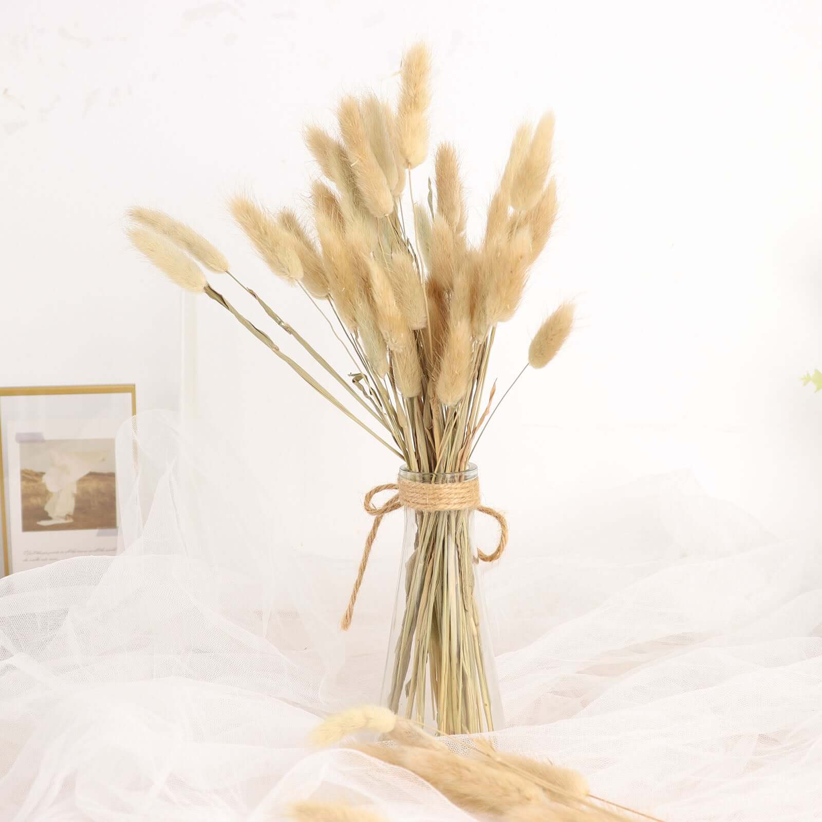 50-Pack Dried Bunny Tail Grass 15" Natural - Fluffy Lagurus Ovatus Rabbit Tail Ornamental Grass - Image 12