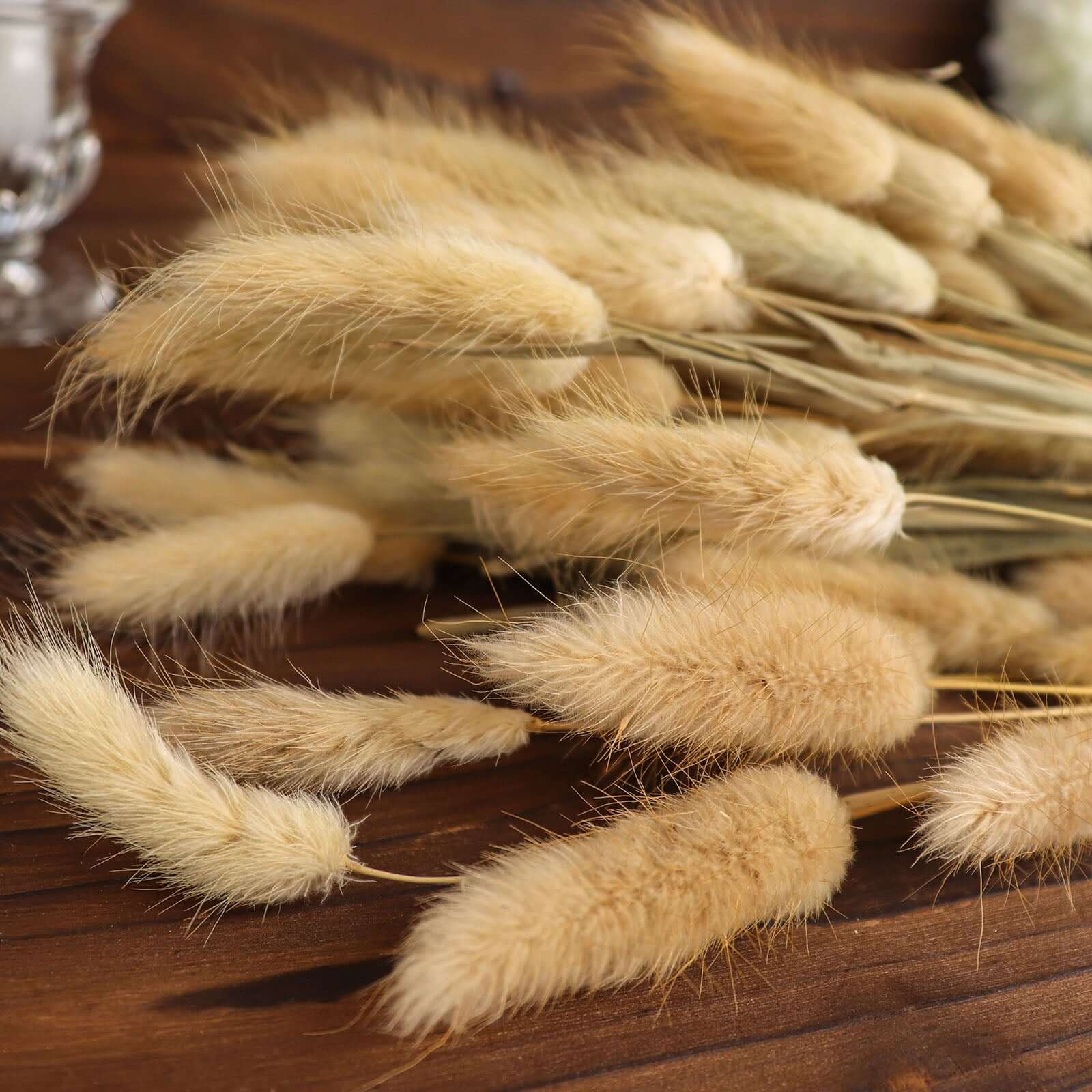 50-Pack Dried Bunny Tail Grass 15" Natural - Fluffy Lagurus Ovatus Rabbit Tail Ornamental Grass - Image 15