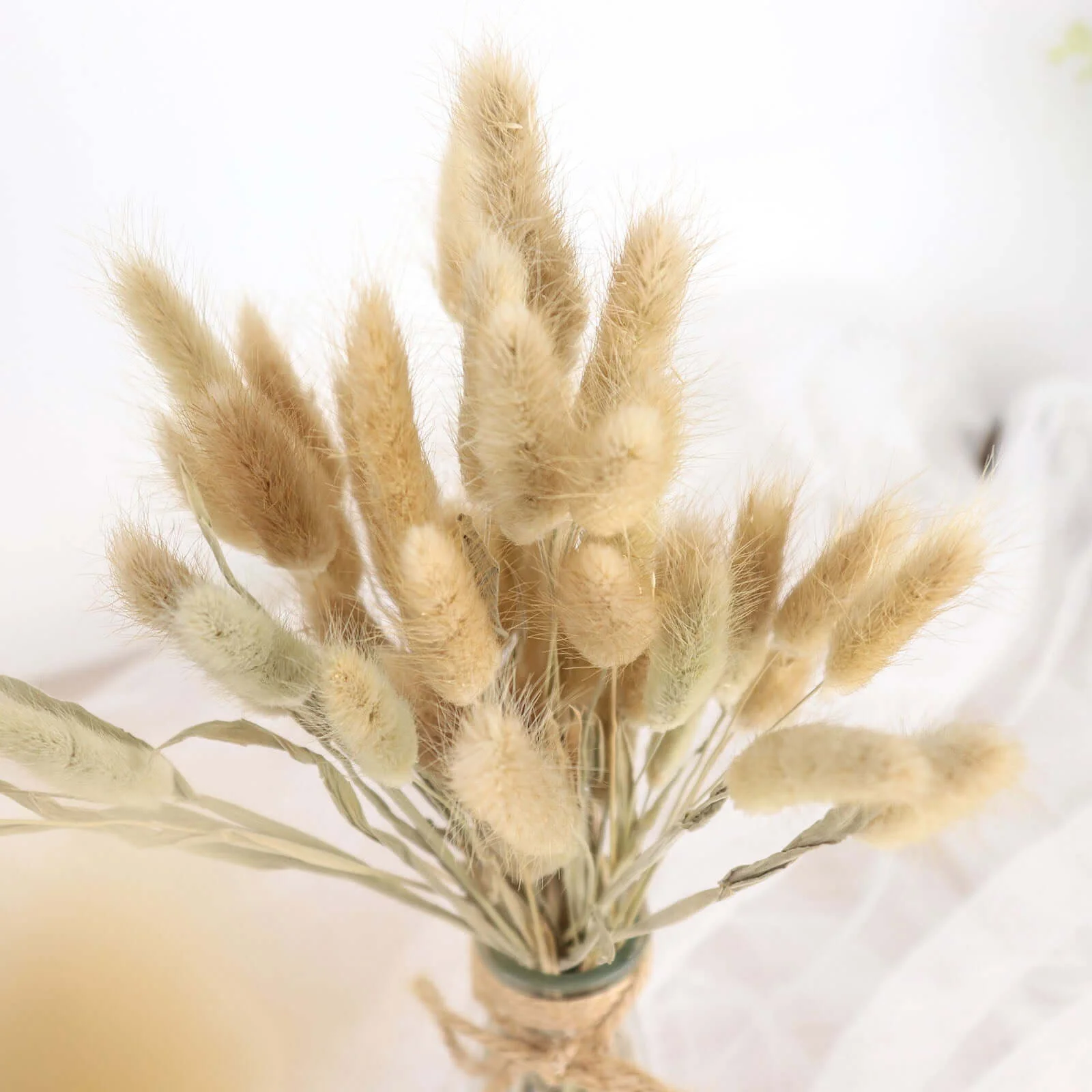 50-Pack Dried Bunny Tail Grass 15" Natural - Fluffy Lagurus Ovatus Rabbit Tail Ornamental Grass - Image 7