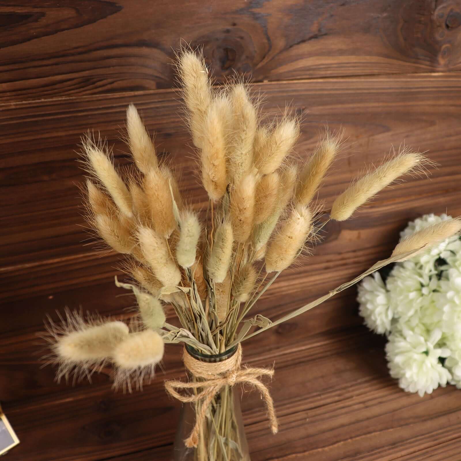 50-Pack Dried Bunny Tail Grass 15" Natural - Fluffy Lagurus Ovatus Rabbit Tail Ornamental Grass - Image 9