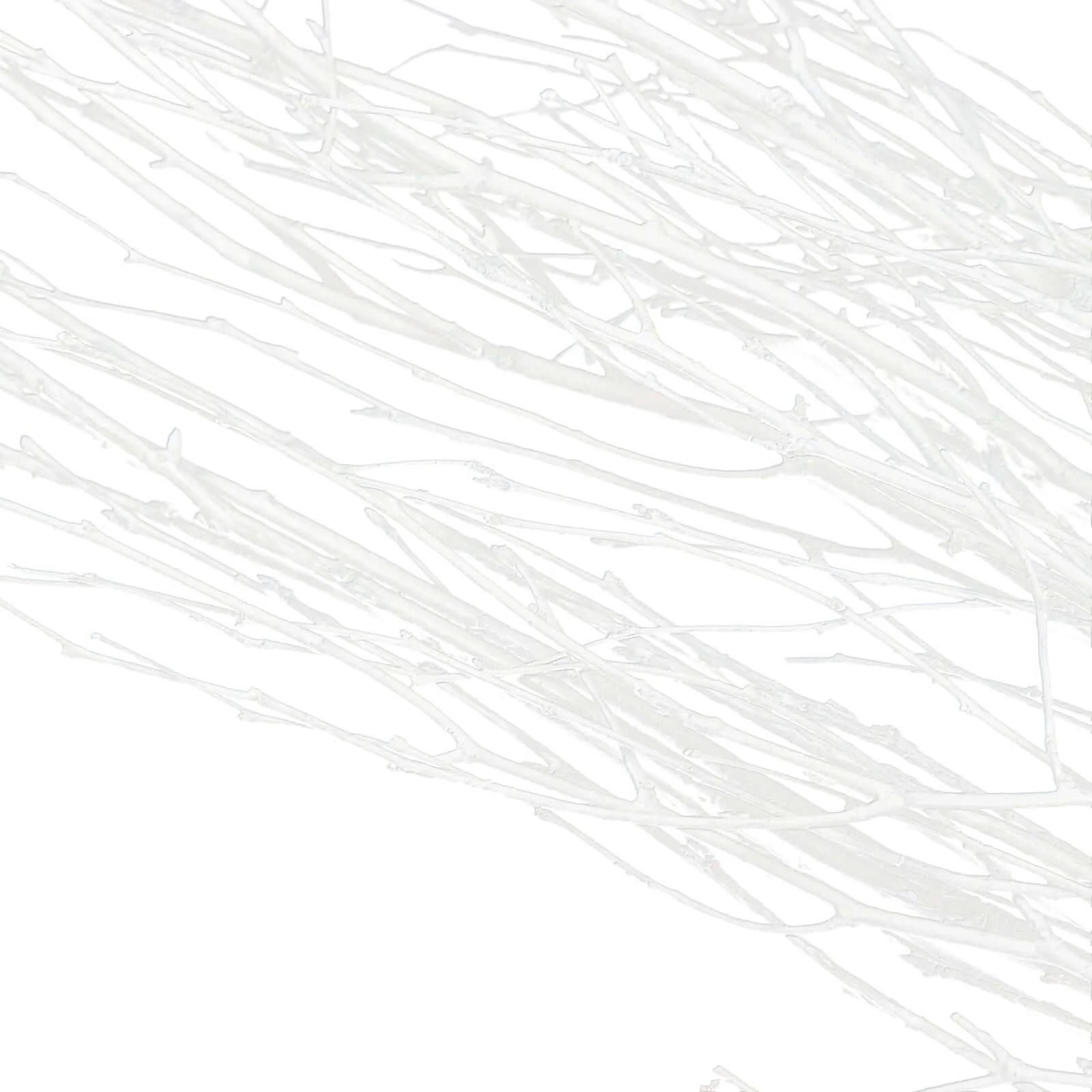 6-Pack Birch Tree Branches 46" White - Rustic Extra Long Decorative Dried Willow Twigs Sticks for DIY Crafts Vases & Displays - Image 8