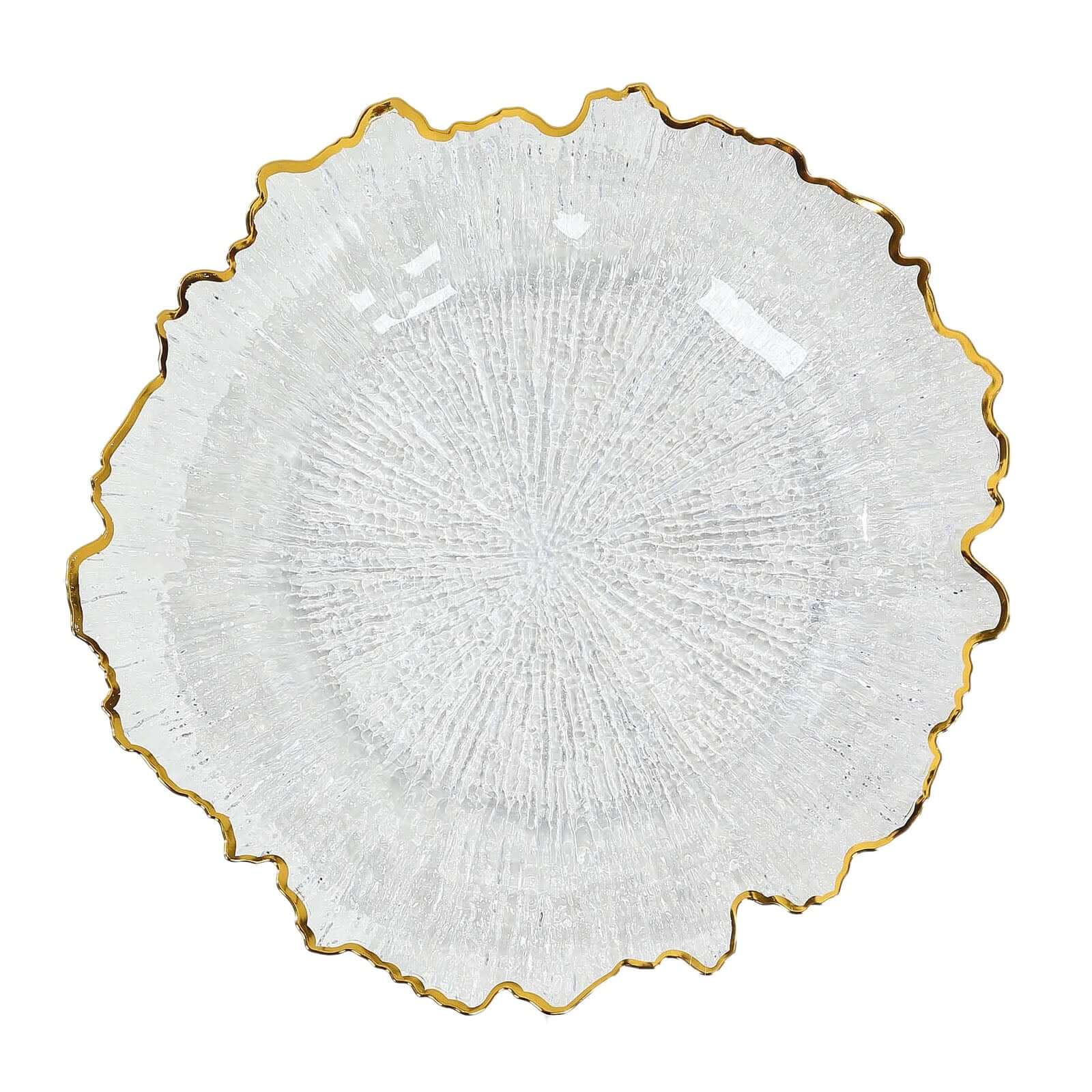 6-Pack Plastic Charger Plates 13", Round Clear Reef Design with Gold Rim - Decorative Dinner Party Serving Plates - Image 6