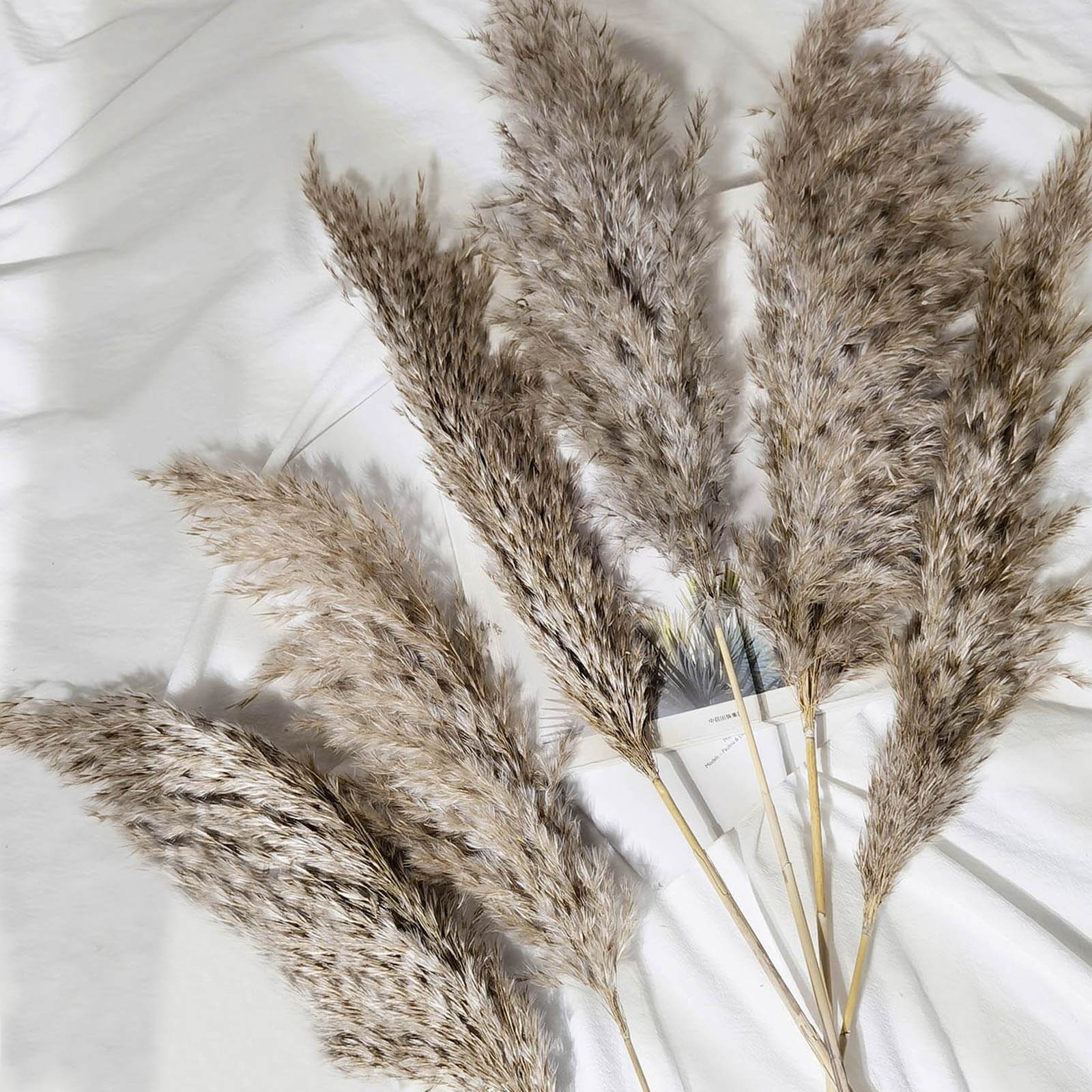 6 Stems Natural Dried Pampas Grass Decor 32" Natural Tint - Fluffy Plant Sprays - Image 11