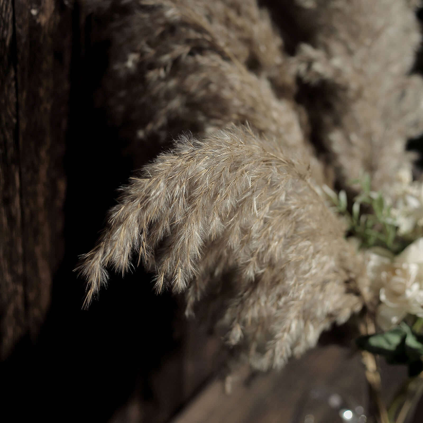6 Stems Natural Dried Pampas Grass Decor 32" Natural Tint - Fluffy Plant Sprays - Image 12