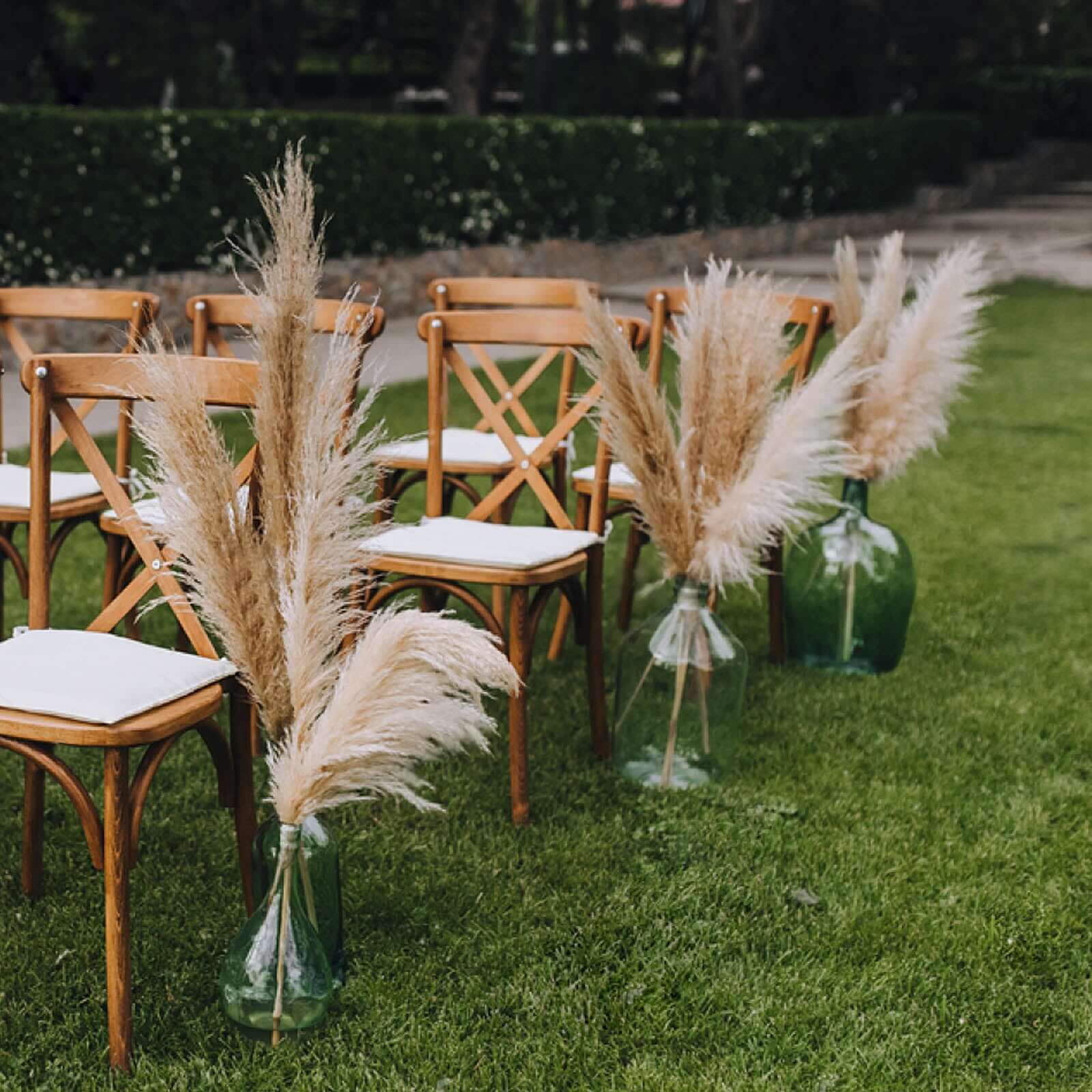 6 Stems Natural Dried Pampas Grass Decor 32" Natural Tint - Fluffy Plant Sprays - Image 16