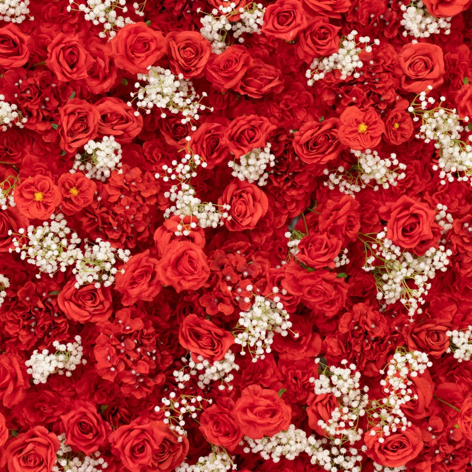 Roll Up Flower Wall Backdrop with Fabric Backing – 8ftx4ft Red Artificial Silk Roses & Baby's Breath - Image 5