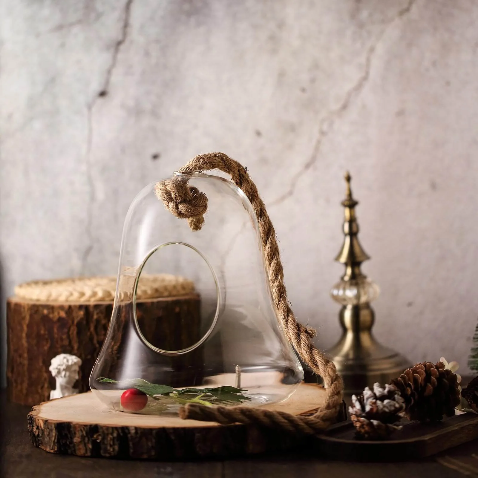 Glass Terrarium Hanging Bell Shaped Design 9" with Twine Rope - Free-Falling Planter for Air Plants & Decor - Image 2