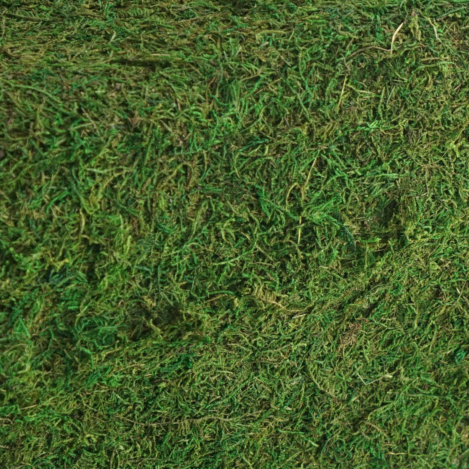 Preserved Moss Table Runner 14"x48" Green with Fishnet Grid Design - Perfect for Rustic Decor - Image 8