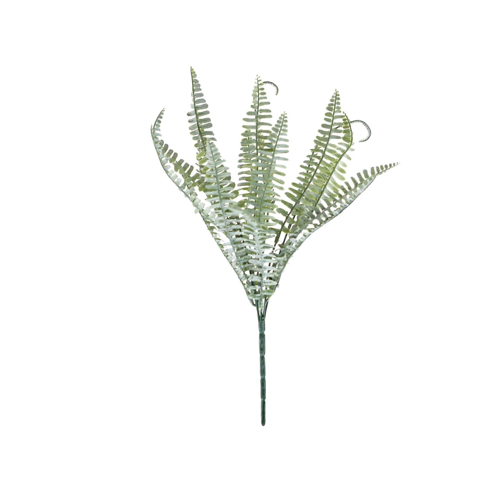 2 Stems Frosted Green Artificial Boston Fern Leaf Plant Indoor Spray - Image 7
